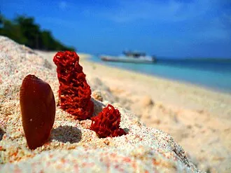 Great Santa Cruz Pink Beach, Zamboanga City, Zamboanga Peninsula