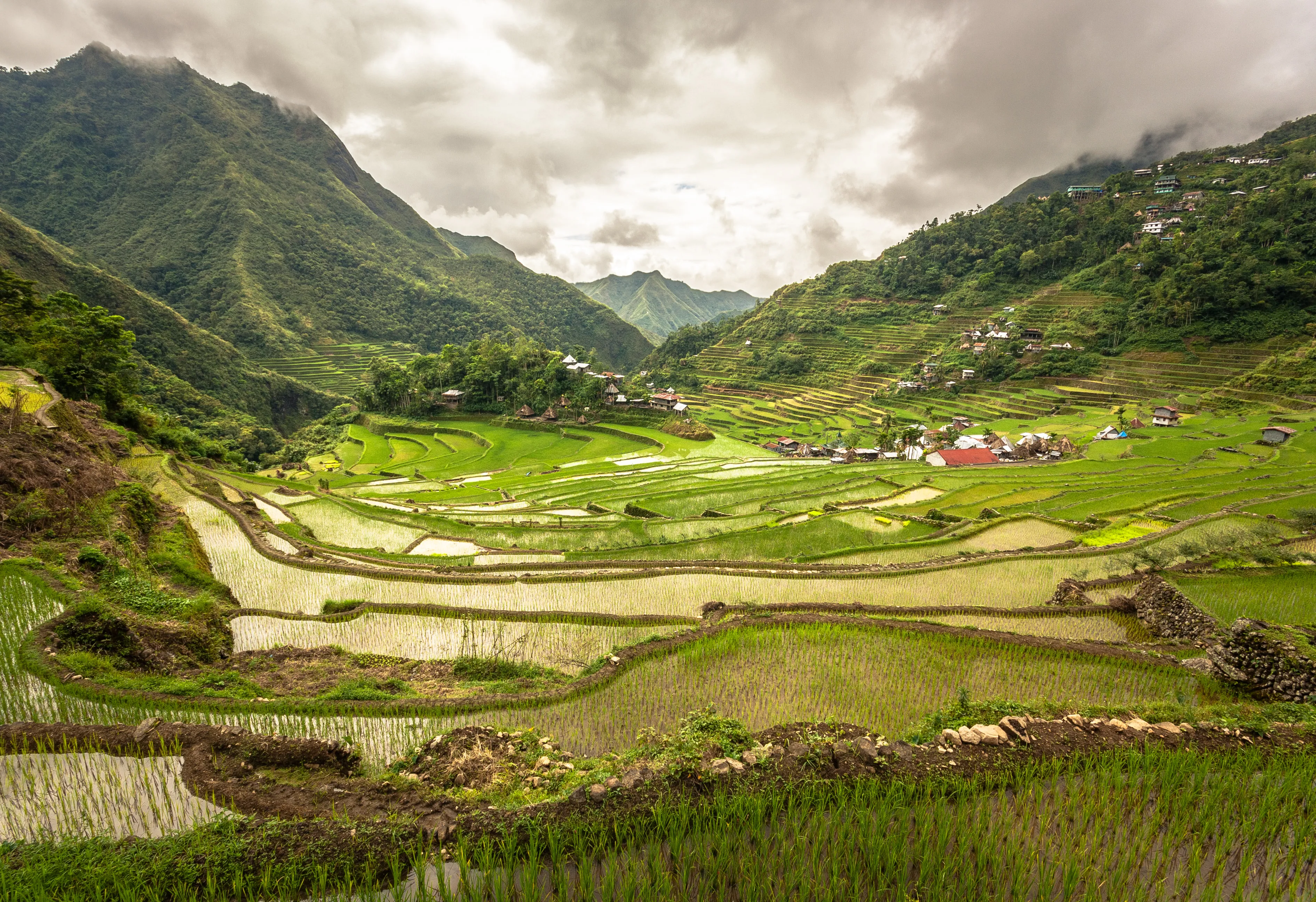 Batad Rice Terraces, Ifugao