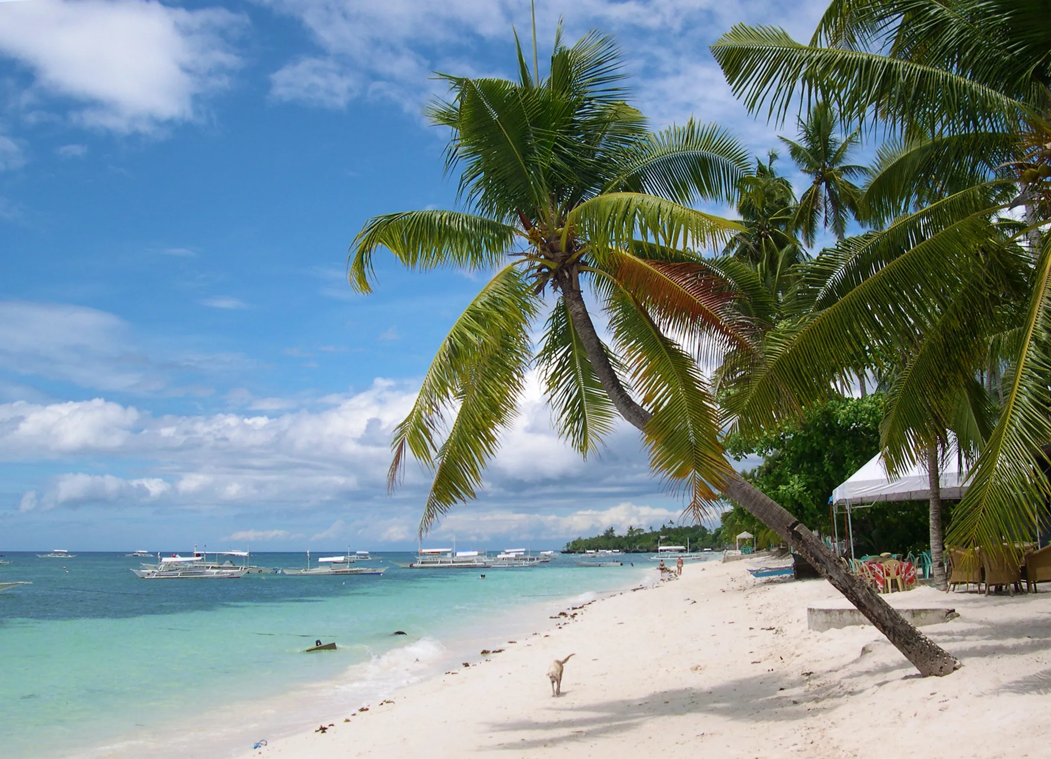 Panglao Island, Bohol